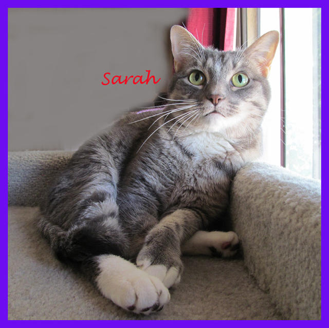 Sarah