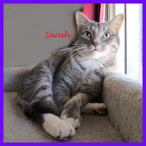 Sarah