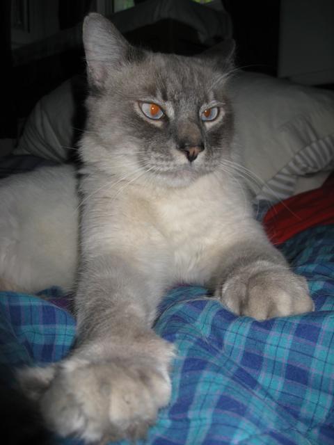 Dmitri