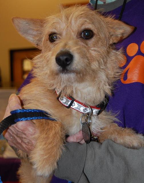 Scottie 3 FullSizeRender