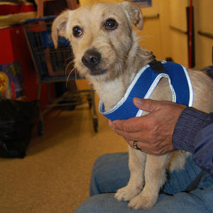 Prince - Adopted!