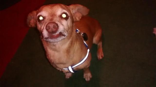 Oscar