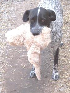 Pepper