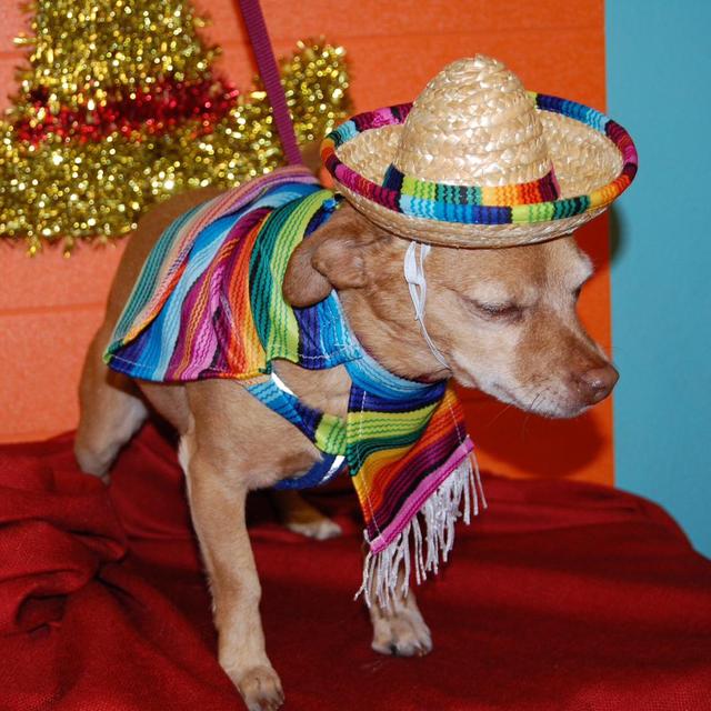 Oscar