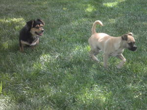 Mister and Dolly