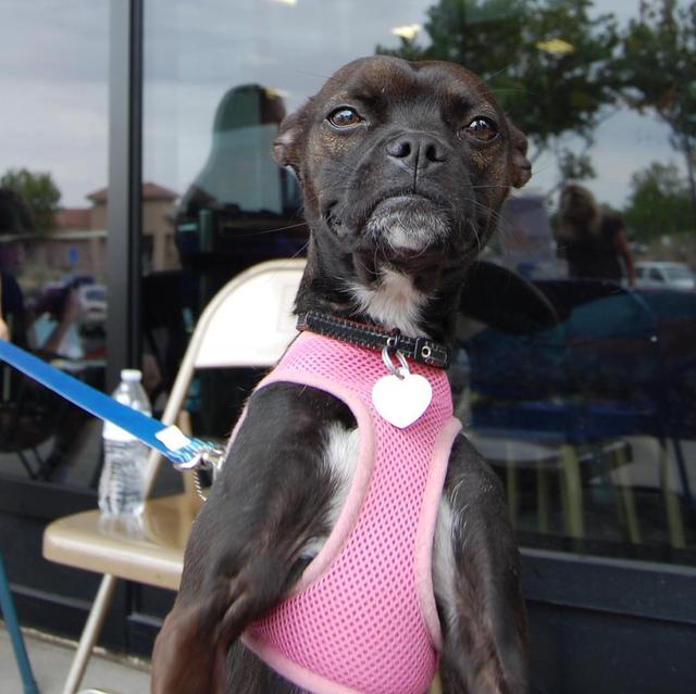 Rita