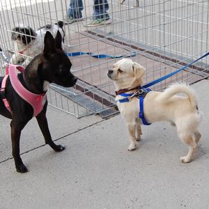 Little Pickle and Rita