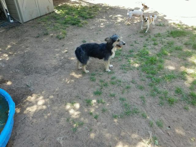 Molly