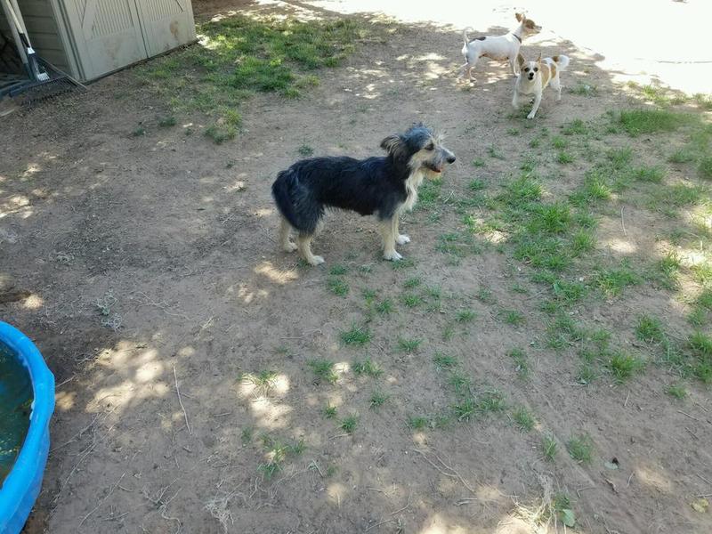 Molly
