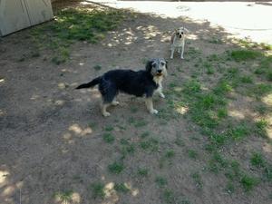 Molly
