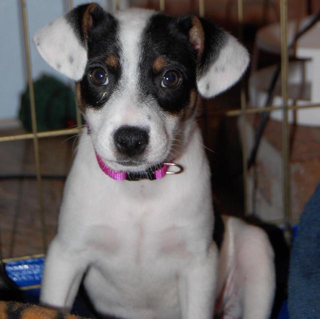 Spotty