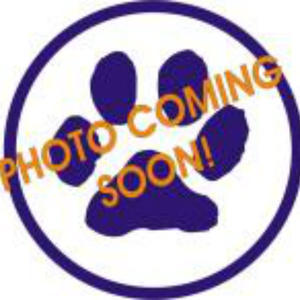 Payton - Adopted!