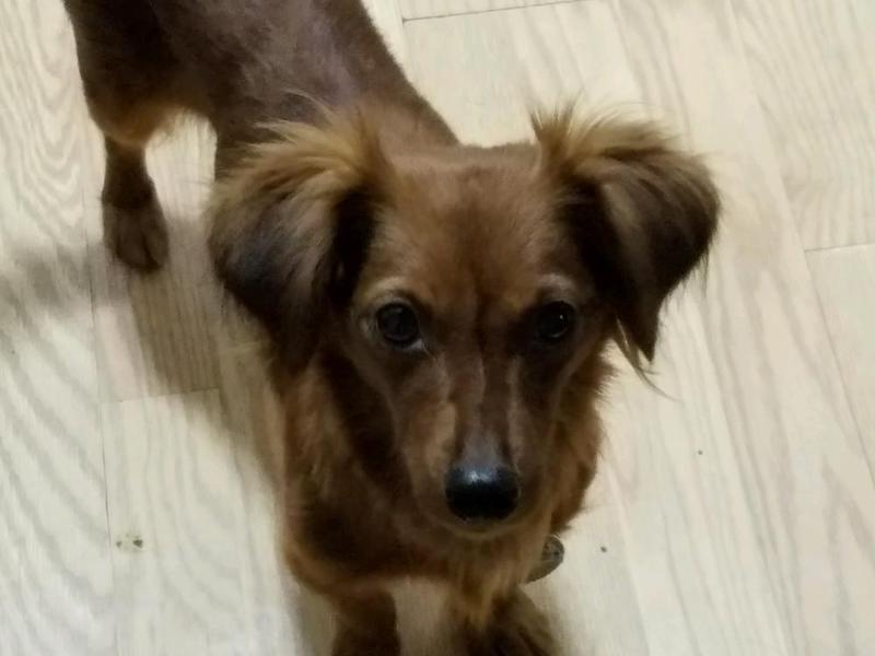 winnie