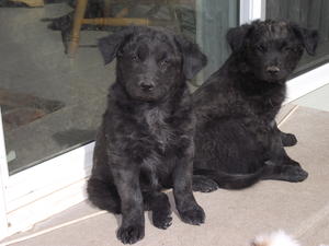 Chanel&Chloe