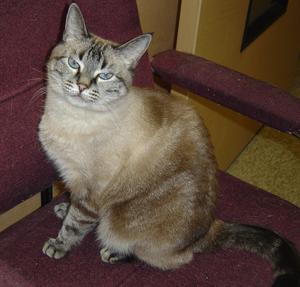 Annie Blue Eyes
