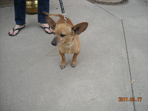 DSCN0427 Casper