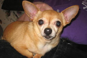 Charlie IMG_1751