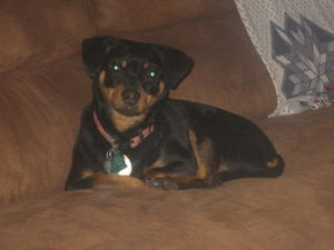 Frieda 003