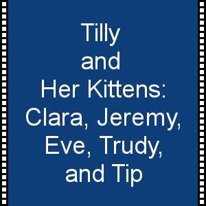 Tilly (Tilda) and Her Kittens - Video