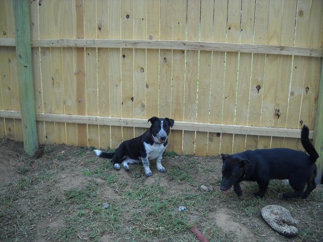 Moonie and Diane