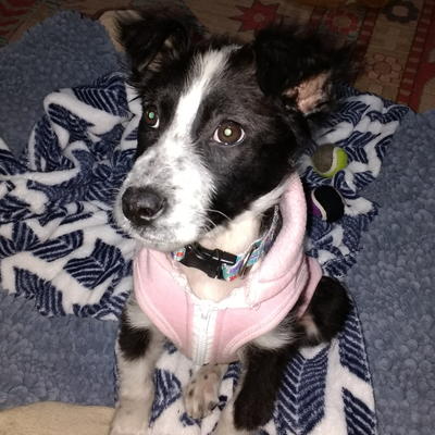 Chloe