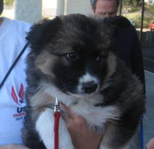 Little Bear 009