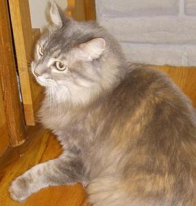 Zoey