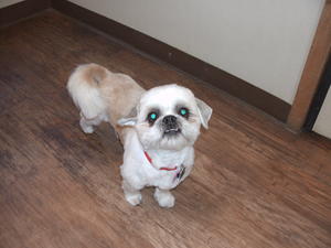 TaterTot (2)