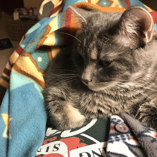 Logan