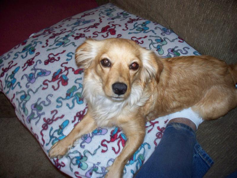 Goldie102_0103