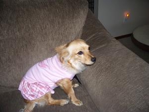 Goldie102_0120