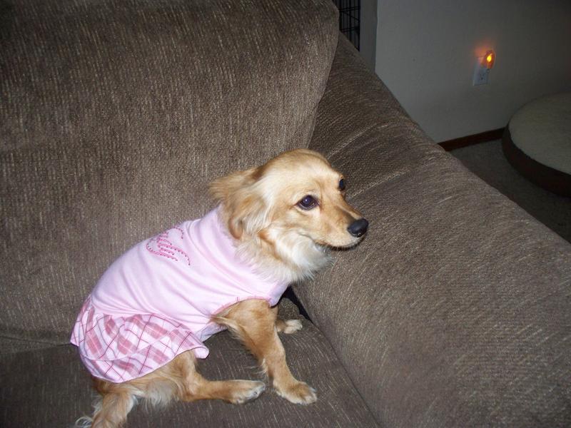Goldie102_0120