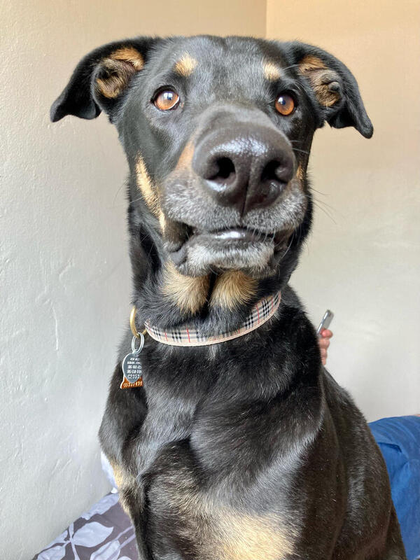Penny