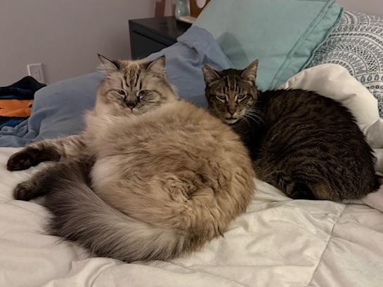 Dusty and Lil' B