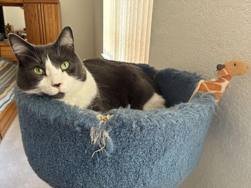 Gus
