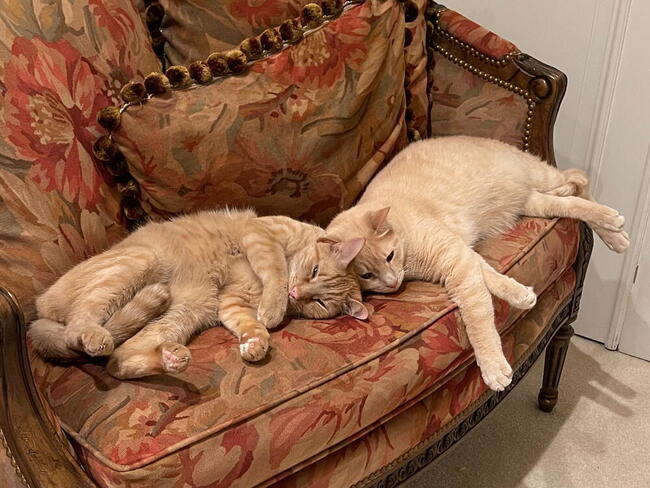 Sunny and Jimmy