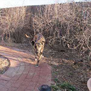 AudreyIMG_0001