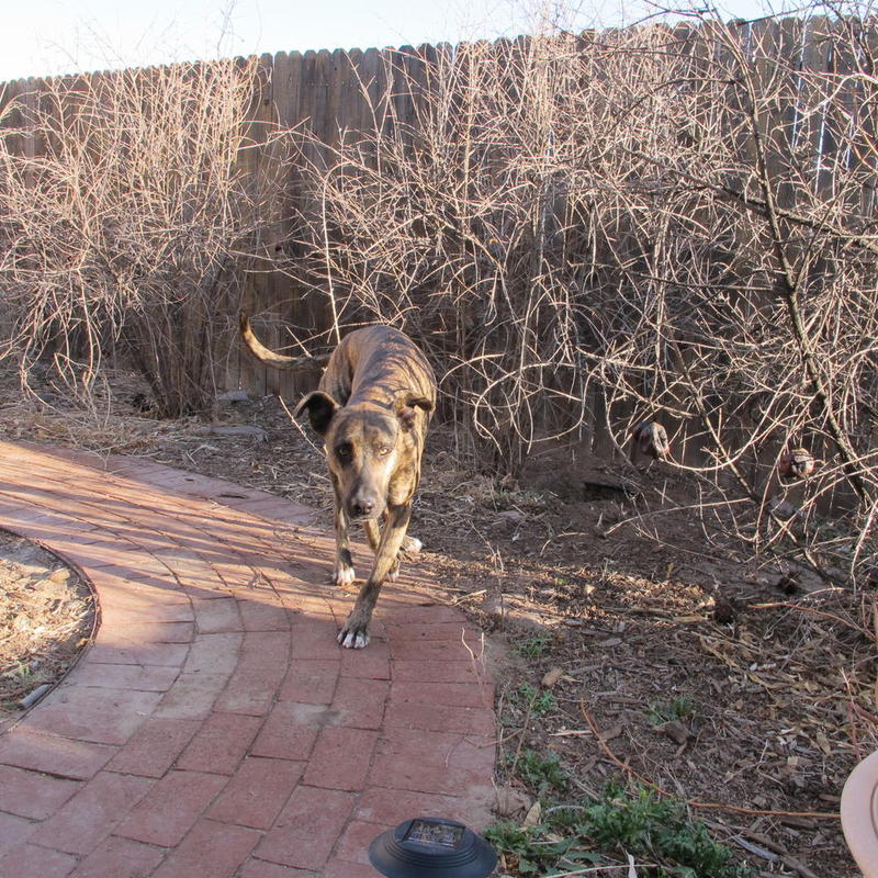 AudreyIMG_0001