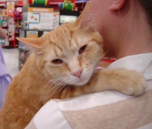 Garfield--Adopted!!