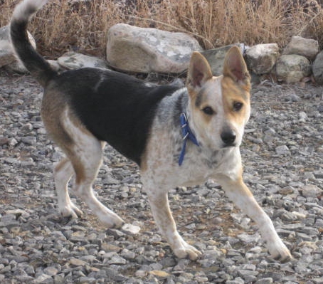 Mati - Adopted!