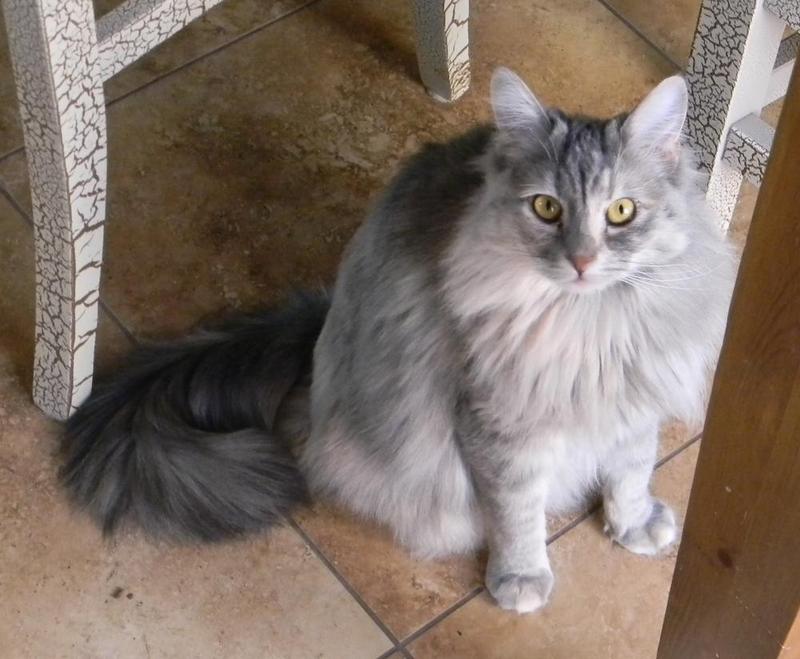Susie being photogenic