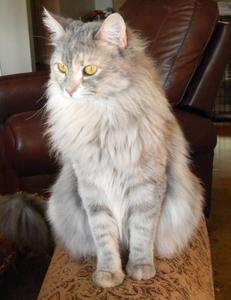 Susie Q sitting pretty