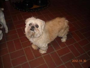 KristyDSCN1218