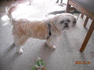KristyDSCN1265