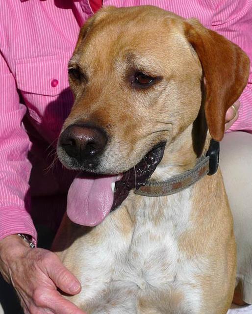 Jon Jon - ADOPTED!