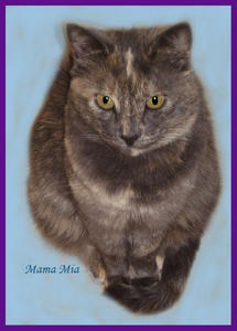 ~Courtesy Listing ~ Mama Mia--Adopted!