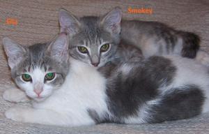Ella and Smokey