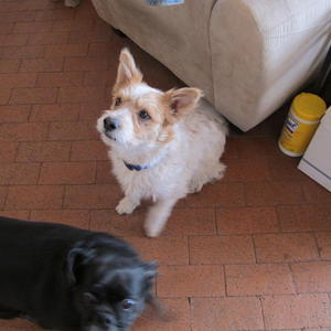 ArchieIMG_0023
