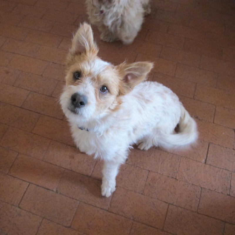 ArchieIMG_0024