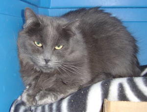 Sedona--Adopted!!